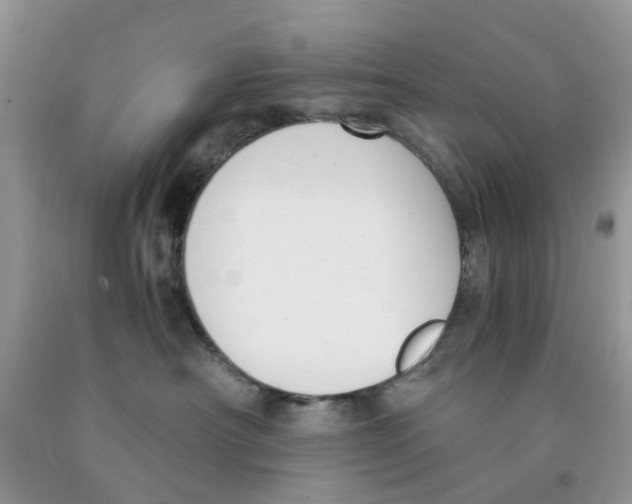 X0000091520430200709141418