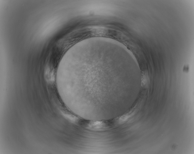 X0000091520431200709141418