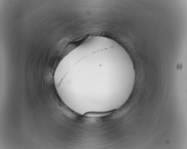 X0000091520432200709141418