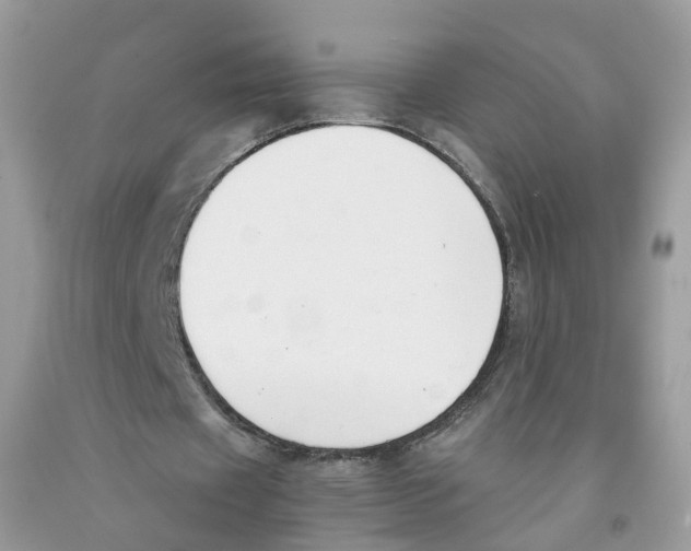 X0000091520433200709141418