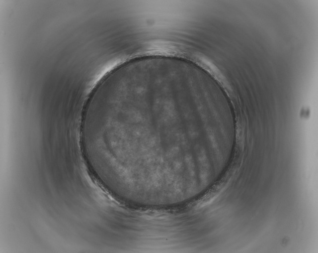 X0000091520434200709141418