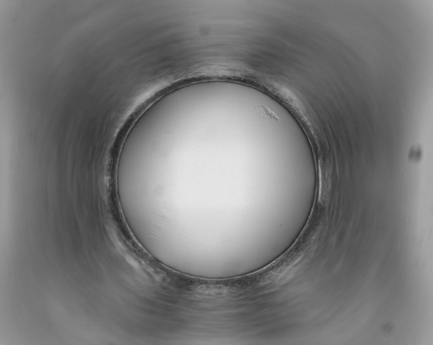 X0000091520435200709141418