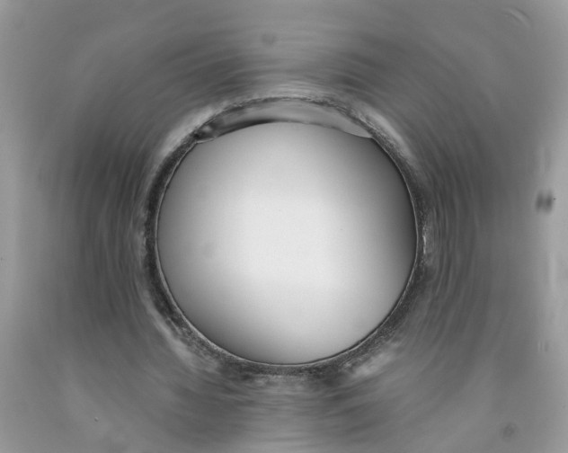 X0000091520436200709141418