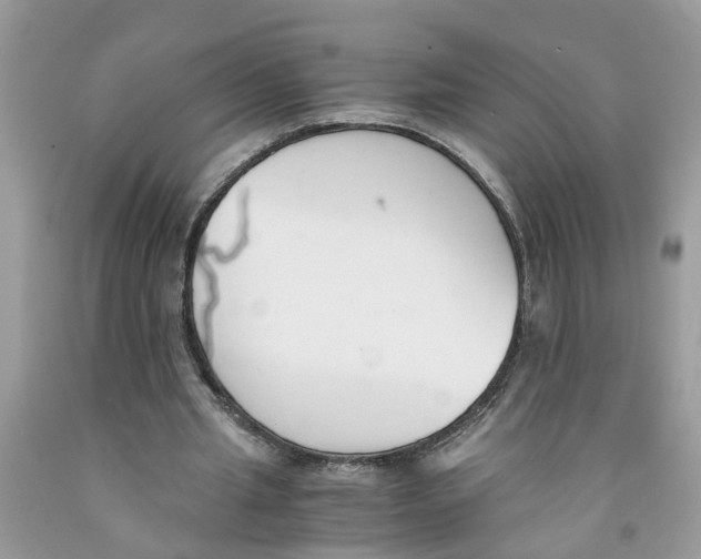 X0000091520437200709141418