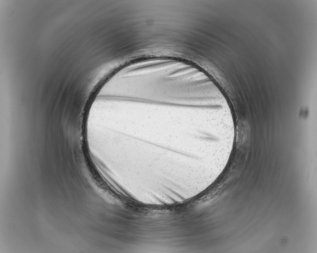 X0000091520438200709141418