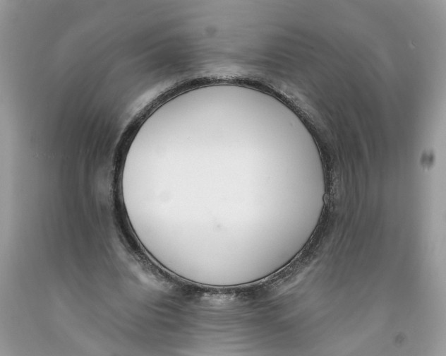 X0000091520440200709141418