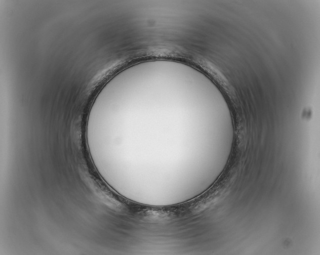 X0000091520442200709141418