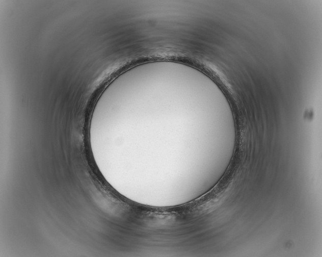 X0000091520443200709141418