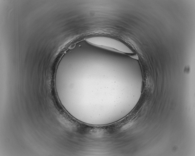 X0000091520444200709141418