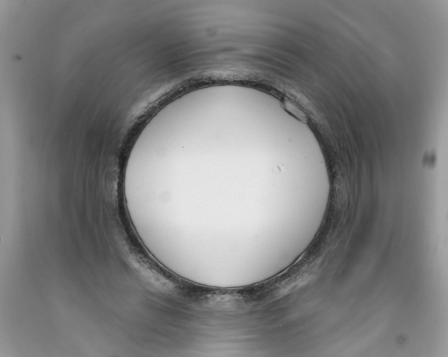 X0000091520446200709141418