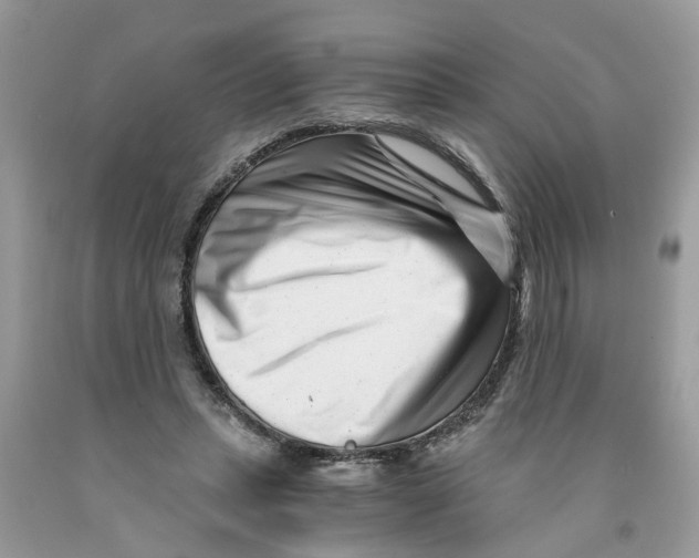 X0000091520447200709141418