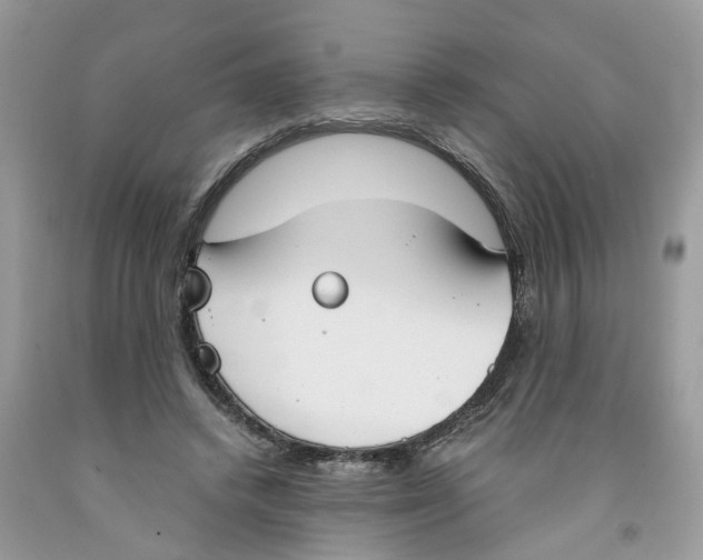 X0000091520448200709141418