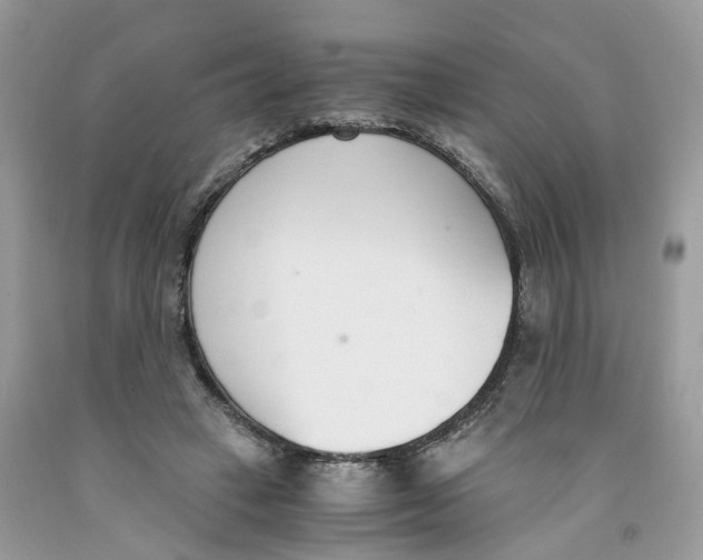 X0000091520449200709141418