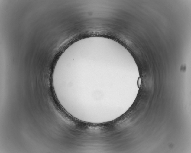 X0000091520450200709141418