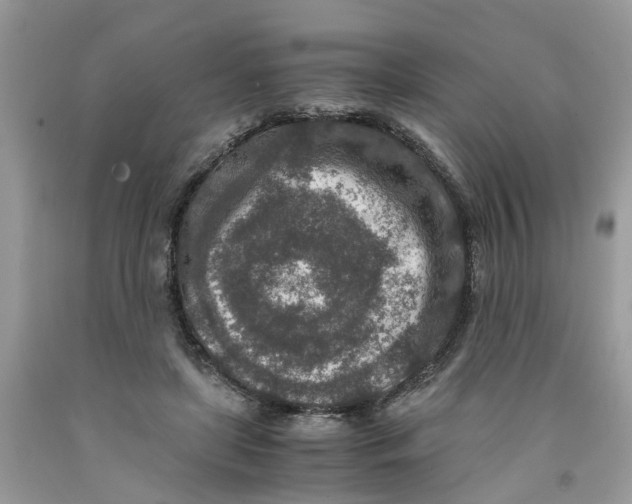 X0000091520451200709141418