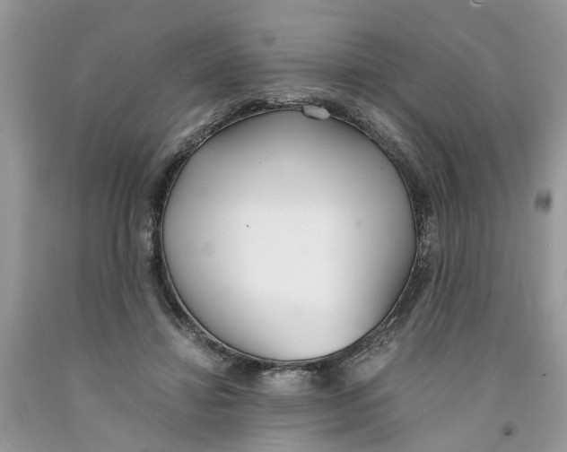 X0000091520452200709141418