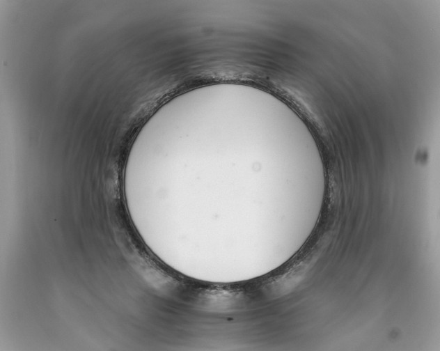 X0000091520453200709141418