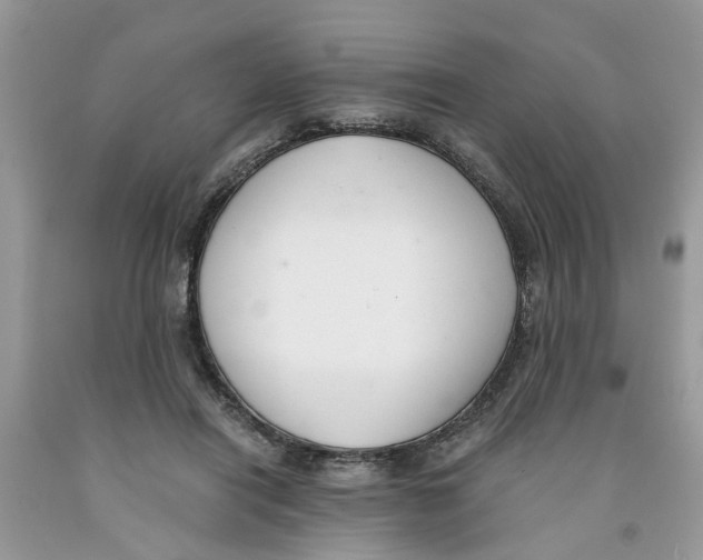 X0000091520454200709141418