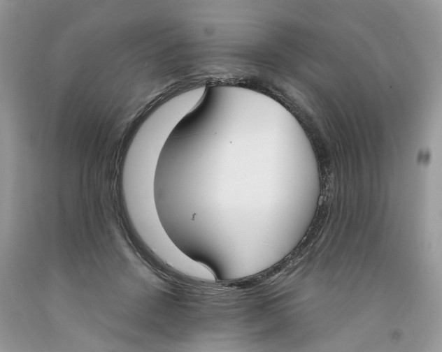 X0000091520456200709141418