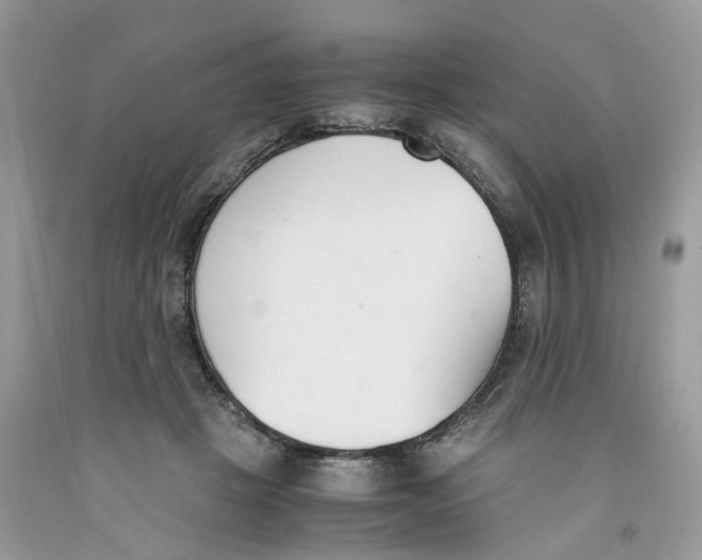 X0000091520457200709141418