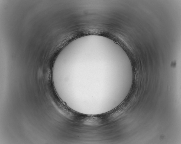 X0000091520459200709141418