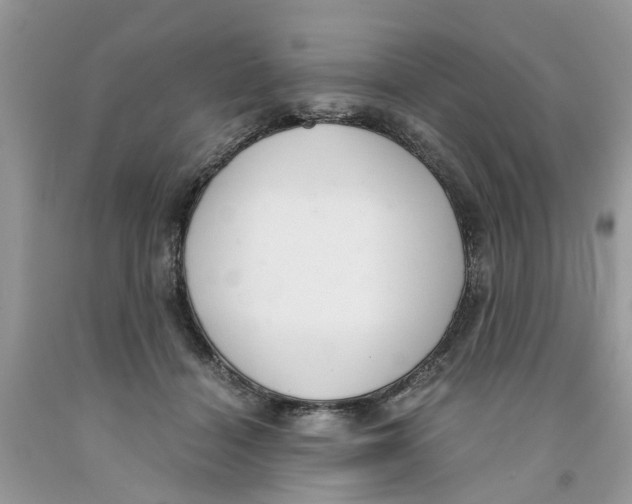 X0000091520460200709141418