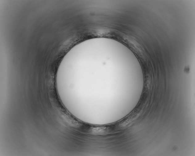 X0000091520461200709141418