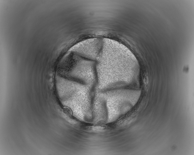 X0000091520462200709141418