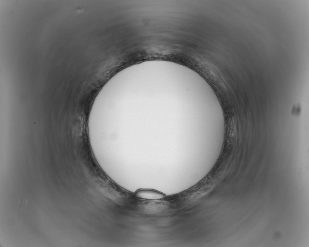 X0000091520463200709141418