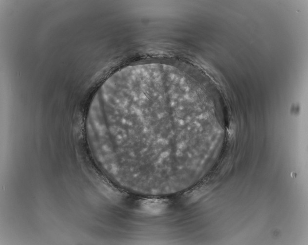 X0000091520465200709141418