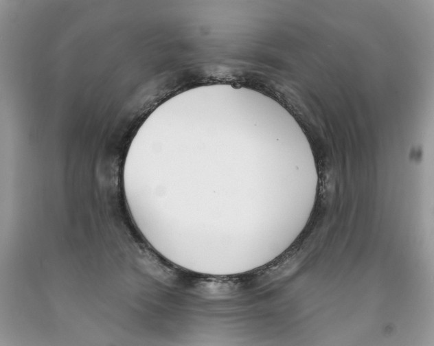 X0000091520466200709141418