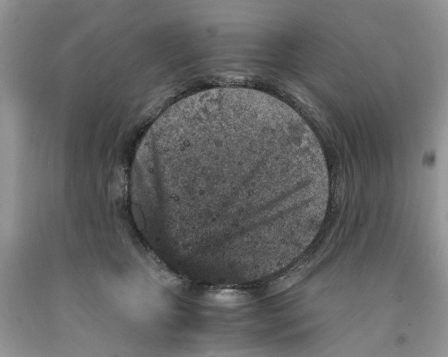 X0000091520467200709141418