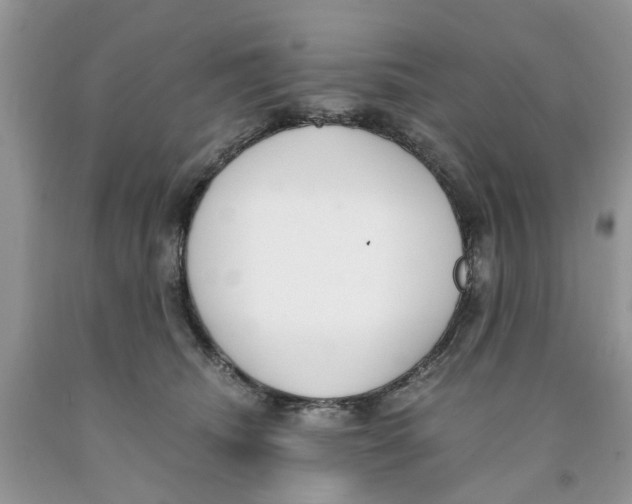 X0000091520468200709141418