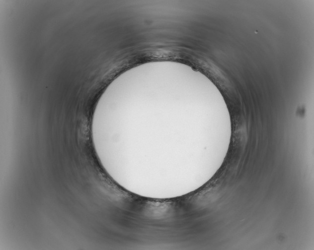 X0000091520469200709141418