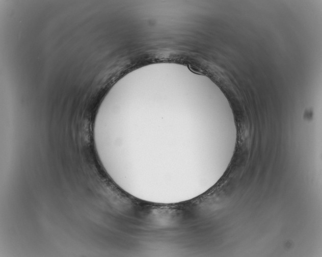 X0000091520470200709141418