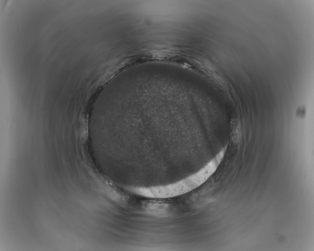 X0000091520471200709141418