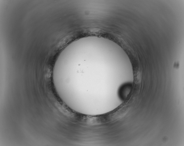 X0000091520472200709141418