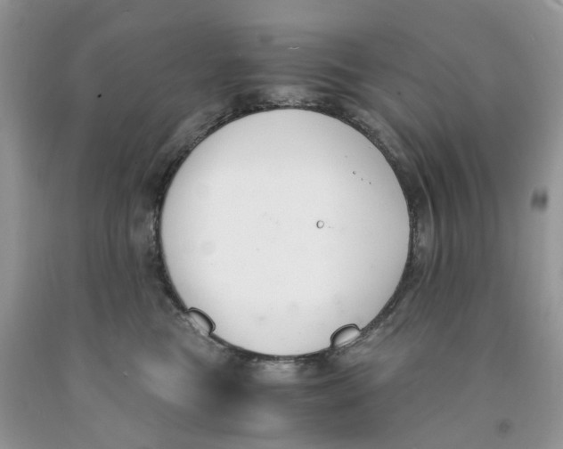 X0000091520473200709141418