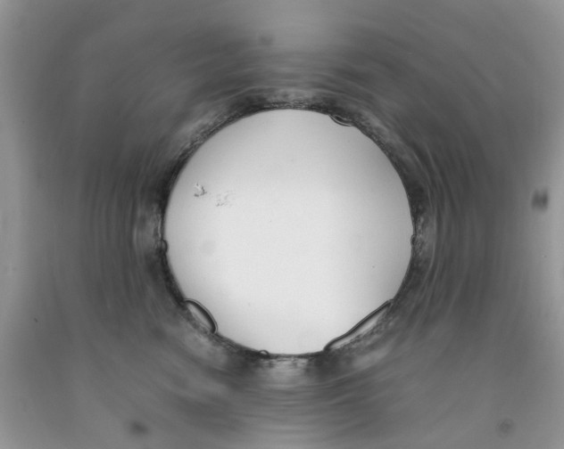 X0000091520474200709141418