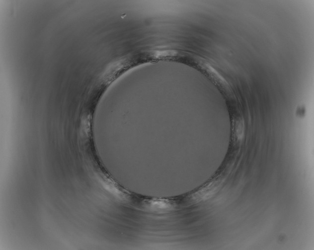 X0000091520475200709141418