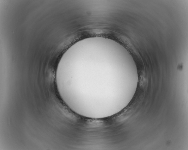 X0000091520476200709141418