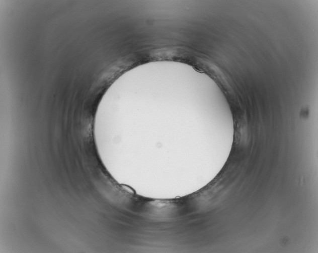 X0000091520477200709141418