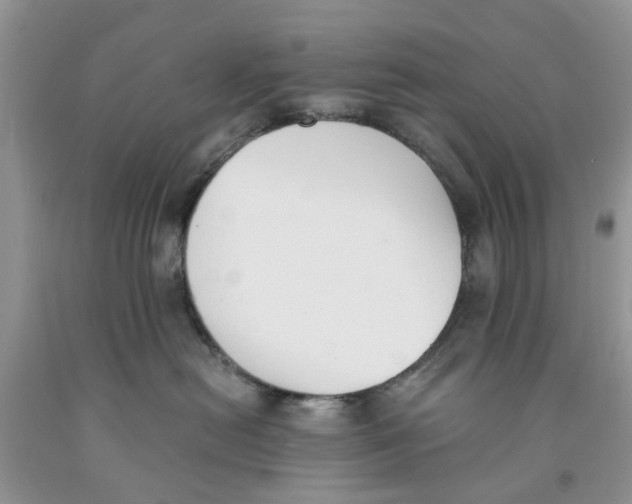 X0000091520478200709141418