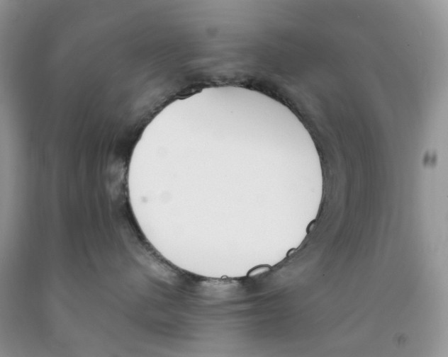 X0000091520480200709141418