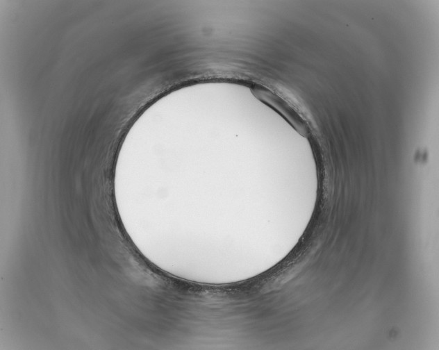 X0000091520481200709141418