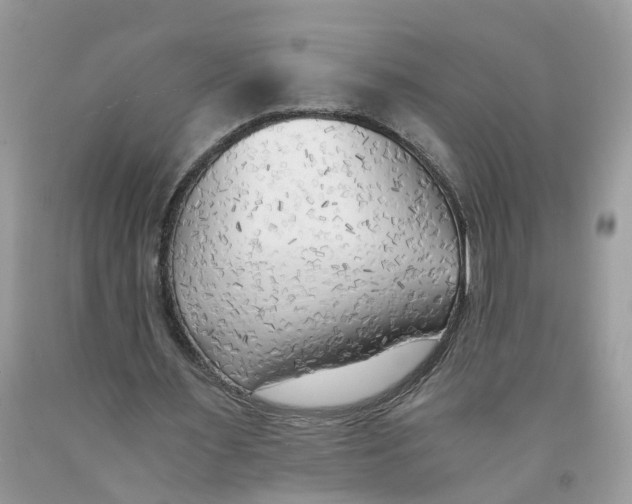 X0000091520483200709141418