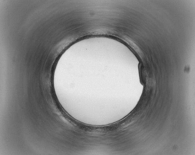 X0000091520485200709141418