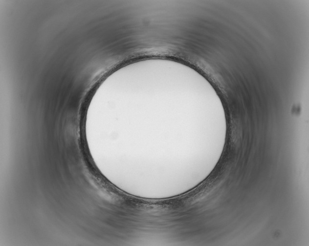 X0000091520486200709141418