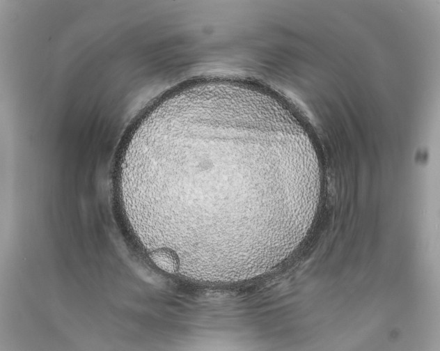 X0000091520487200709141418