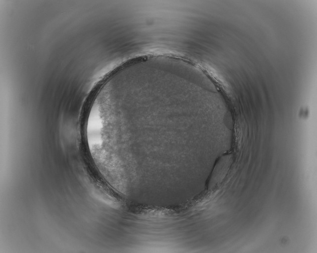 X0000091520488200709141418